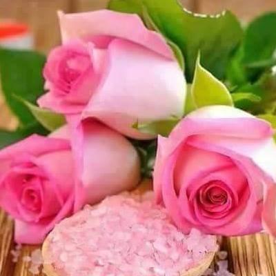 Photo of Evangelist Elizabeth S.