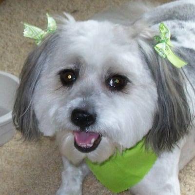 Photo of Lucy L.
