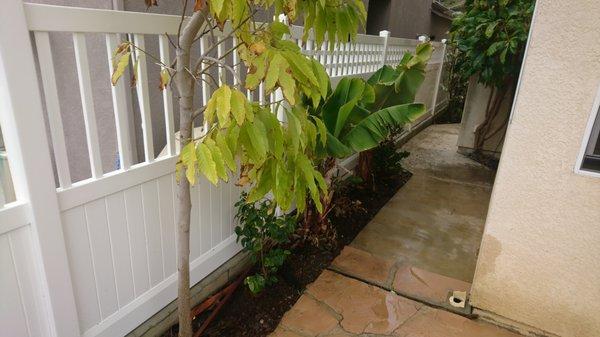 photo of Christomatic S.