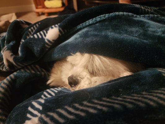 photo of Rochelle A.