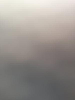 Photo of Sophia S.