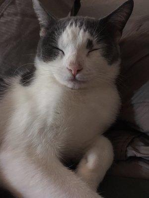 Photo of Pookie C.