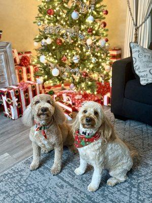 photo of Brittney C.