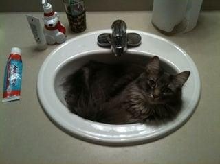 photo of Michelle C.