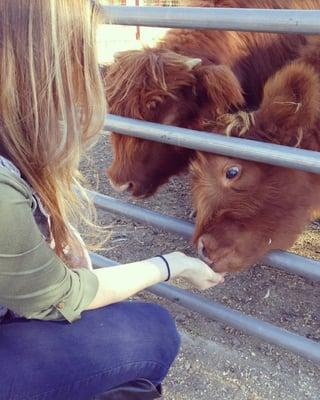 photo of Elisabeth S.