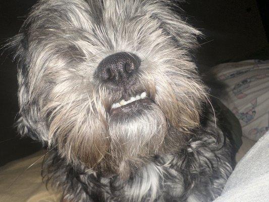 photo of Ghaylbreann F.