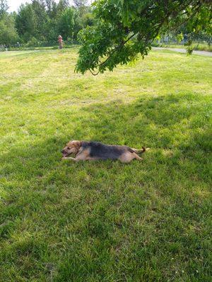 Photo of Julannia R.