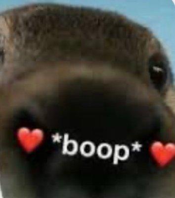 photo of Boop H.