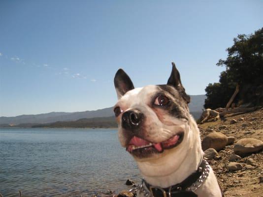 photo of Jennifer L.