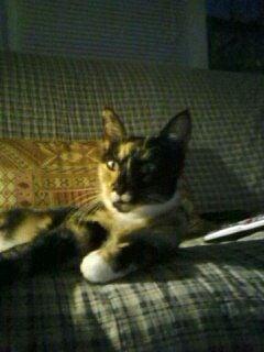 Photo of Mindy S.