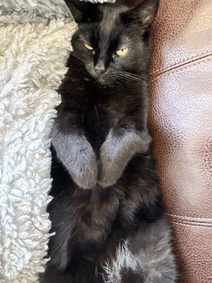 photo of Marticia C.