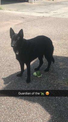 photo of Estefani W.