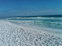 Photo of Zacharius H.