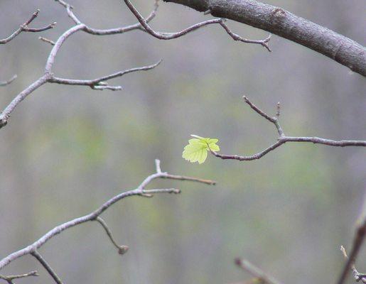 photo of Kewlpita M.