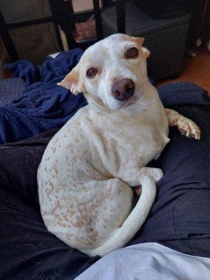 photo of Christine N.