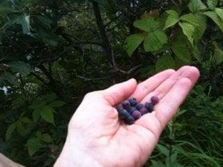 photo of Margaret M.