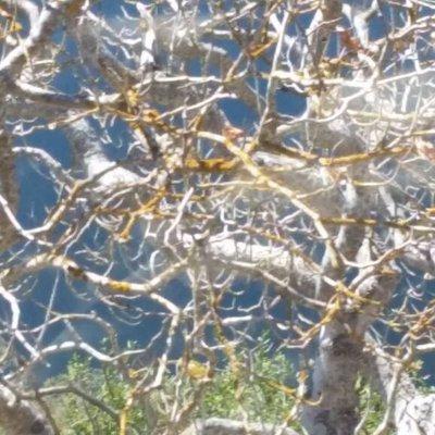 photo of Jeanette S.