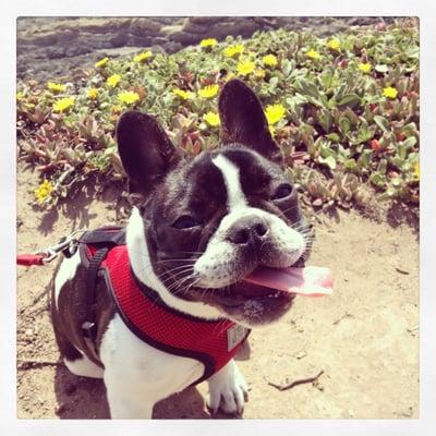 photo of Jonathan W.