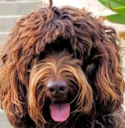 photo of Fletcher G.