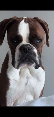 Photo of Brendon D.
