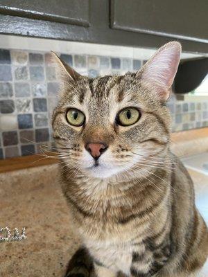 photo of Michelle K.