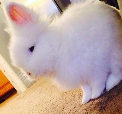 Photo of Periwinkle M.