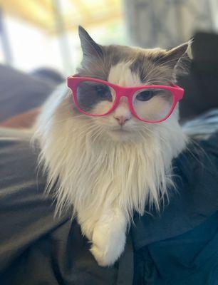 Photo of Jule F.