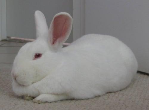 photo of Marjorie O.