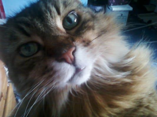 Photo of Mz P.