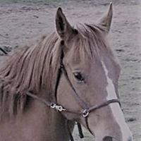 Photo of Patricia M.