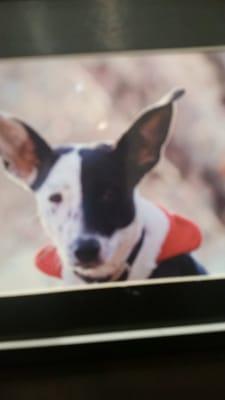 photo of Valorena V.