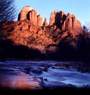 Photo of Cathy R.