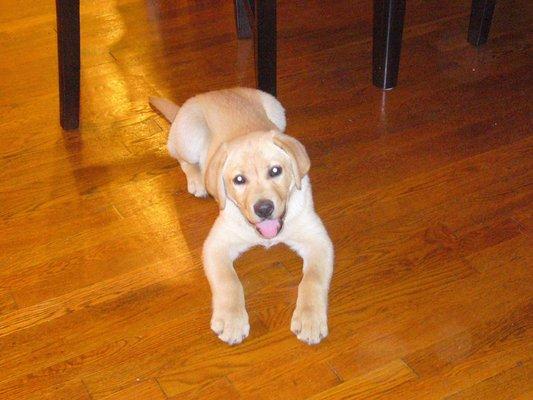 Photo of Delilah A.