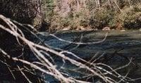 Photo of Rick S.