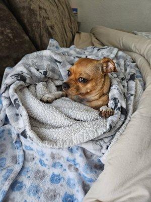 photo of Christina C.