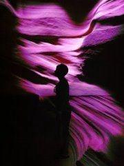 Photo of Brittany D.