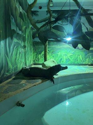 photo of Pastor David H.