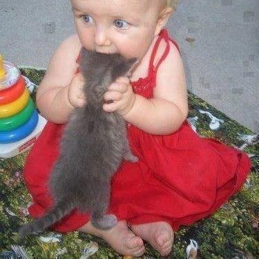 Photo of Meredith E.