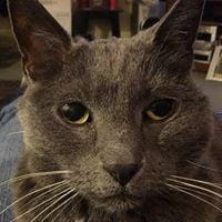 photo of Jennifer G.