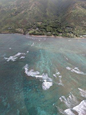 photo of Jannette B.