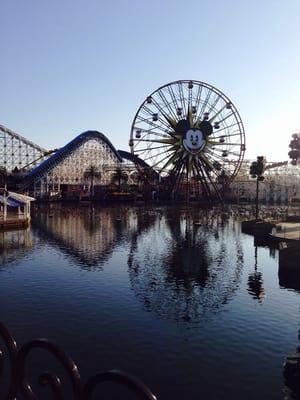 photo of Absolute V.