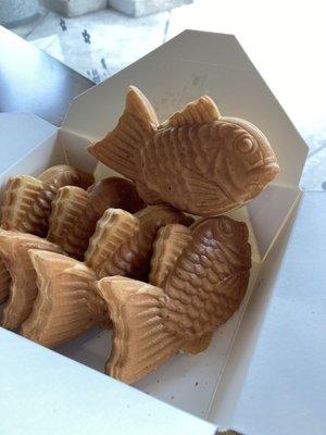 photo of mark teri b.