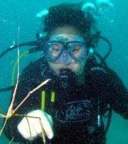 Photo of Jennifer L.