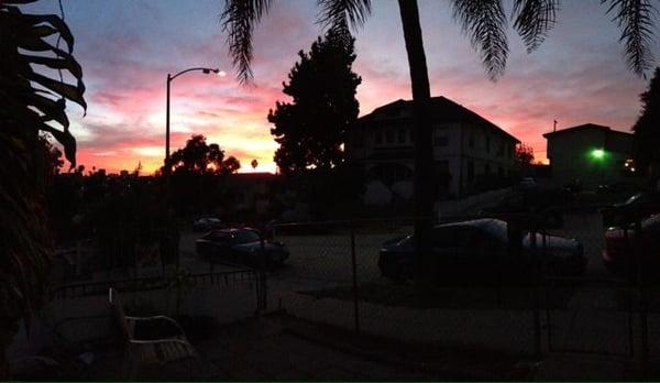 photo of Priscilla P.