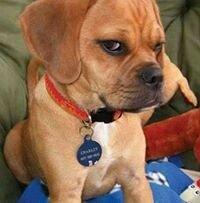 photo of Samantha C.