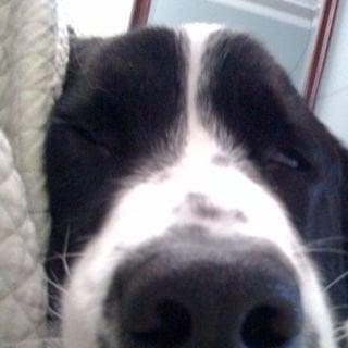 photo of Meredith N.