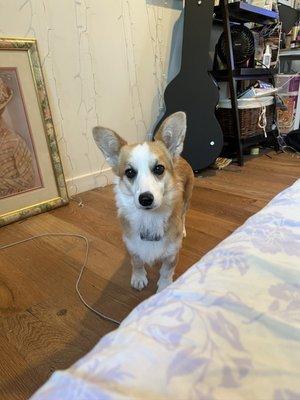 Photo of Lily A.