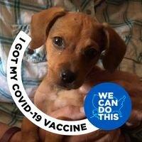 Photo of Elizabeth B.