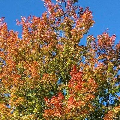 photo of Roseanne E.