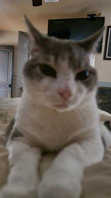 Photo of Cindy P.